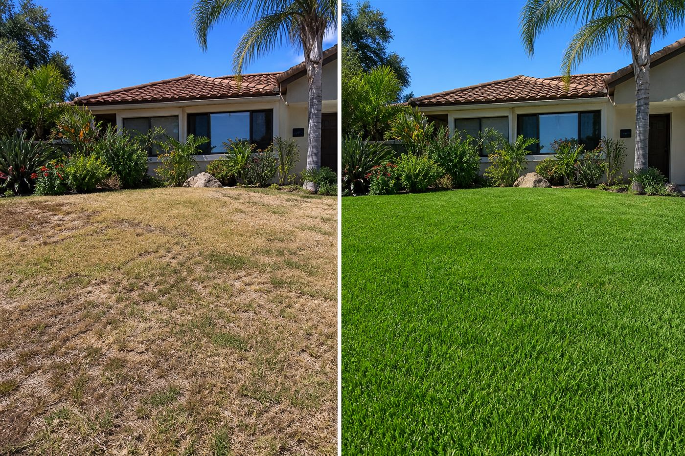 San Diego lawn with brown patches