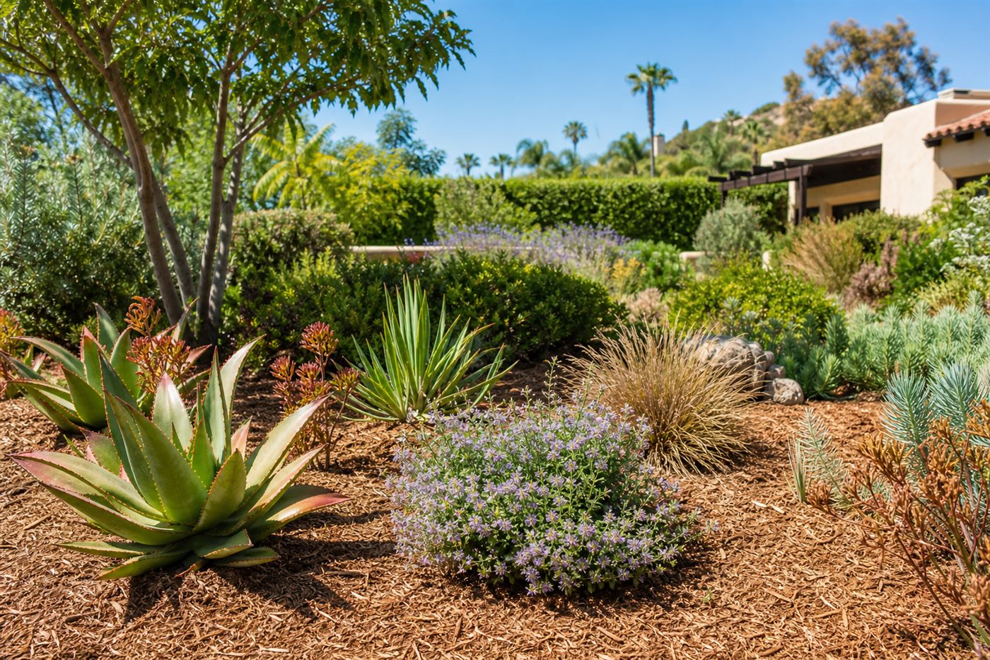 Mulched drought-ready San Diego garden
