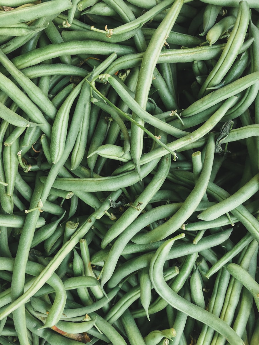 Harvested green beans in a pile (wiki plant photo).