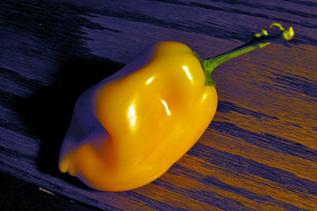Yellow chili pepper on a wooden surface (wiki plant photo).