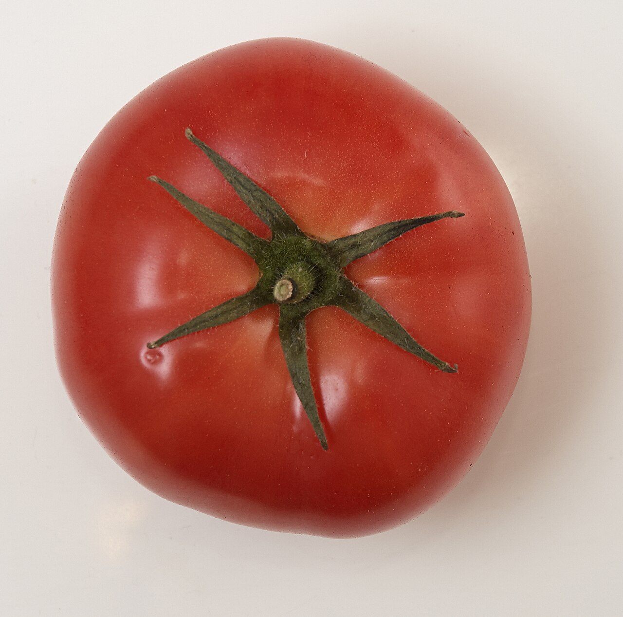 Ripe red tomato on a plain background (wiki plant photo).